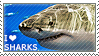 A stamp that has an image of a shark in the background with text that says 'I ❤ sharks' in the bottom left corner.